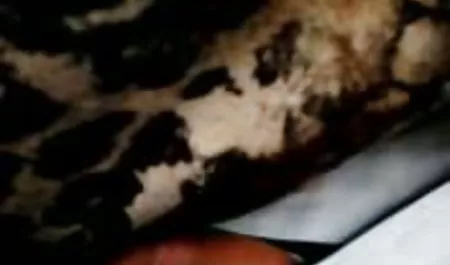 સેક્સી છોકરી ગેમર રિના એલિસ સેક્સ સૌથી સુંદર વિક્ષેપ સેક્સ