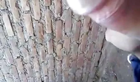 રોમોના સુંદર છોકરીઓ ઘૂંટણ માં પોર્ન અને ડેન -