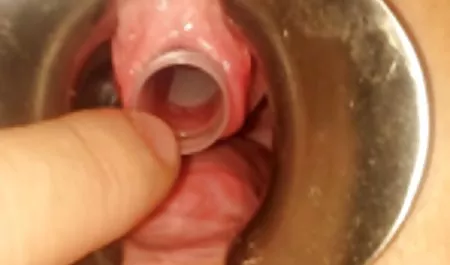 કાર્લા Cox પોર્ન સૌથી સુંદર શૃંગારિક વીડિયો - Pervs પર પેટ્રોલ