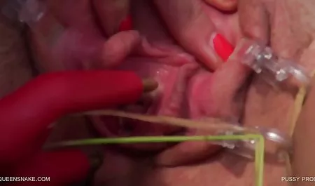 બે પોર્ન સાથે એક સુંદર વિદ્યાર્થી છોકરીઓ Fucks