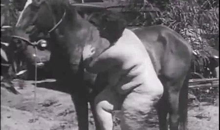 નિકોલ પ્રેમ જરૂર એક મોટી ગાંડ માં તેના ગાંડ સેક્સ સાથે એક સુંદર શ્યામા